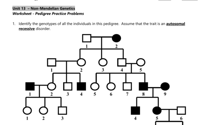 Pedigree worksheet with answers pdf