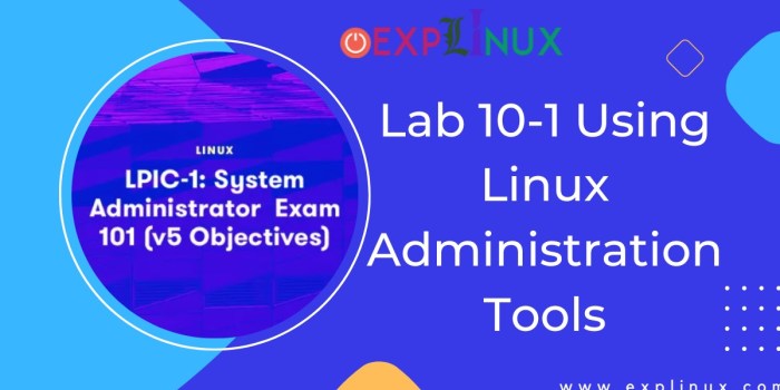 Lab 10-1: using linux administration tools