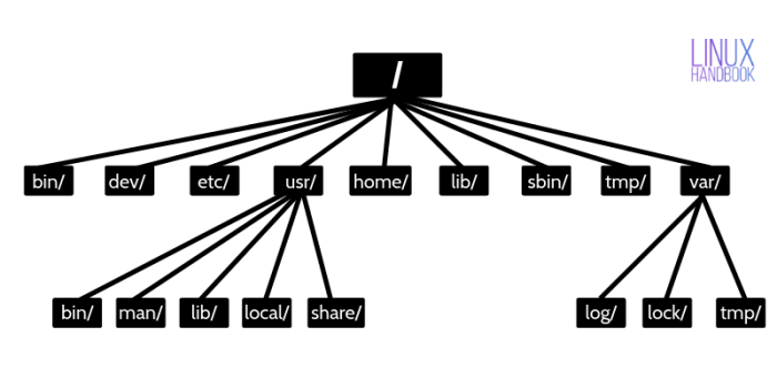 Lab 10-1 linux directory structures