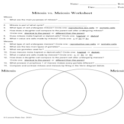 Mitosis versus meiosis worksheet answers