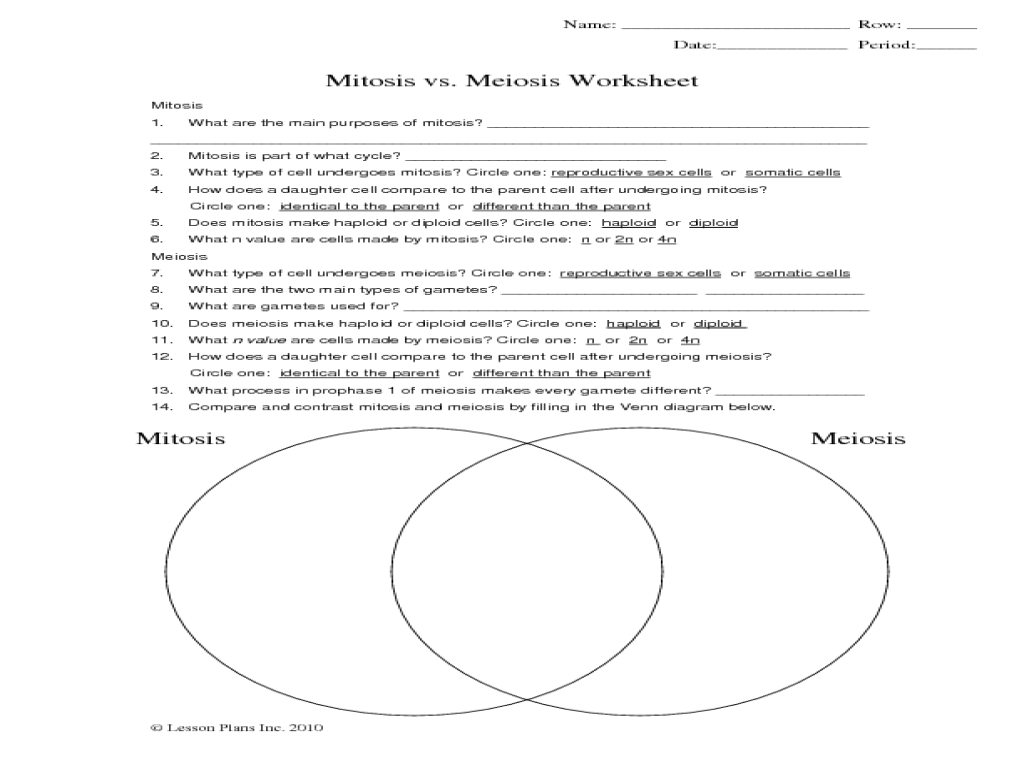 Mitosis versus meiosis worksheet answers