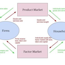 Flow circular model goods explain definition services economy market diagram meaning