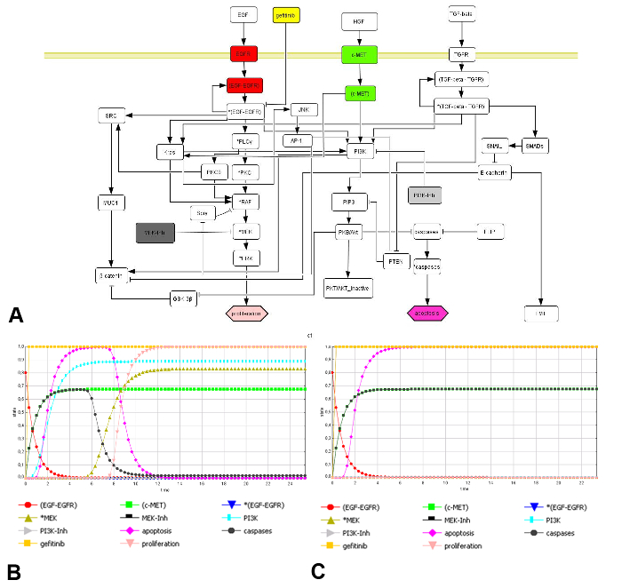 Autoclave descriptions filamentous process