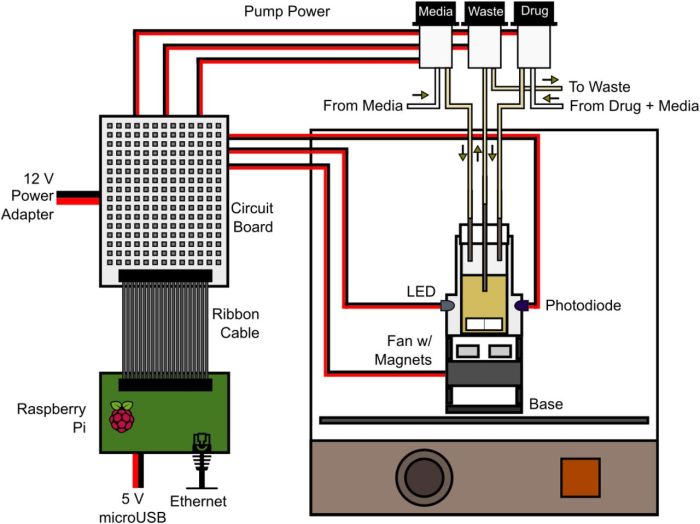 Label the schematic of the autoclave with the correct descriptions.