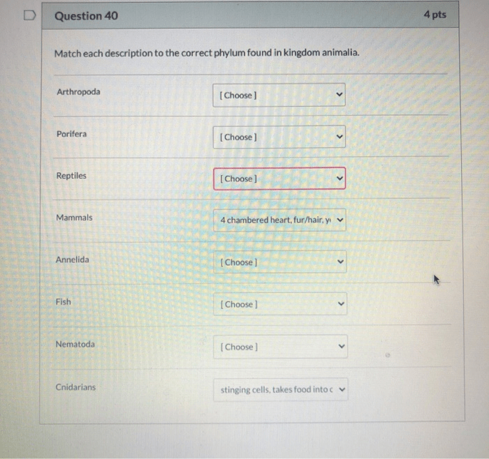 Match each phylum with the correct description