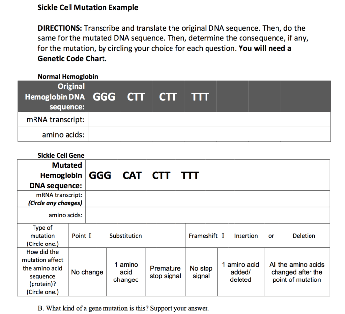 Protein synthesis and mutations review sheet answer key